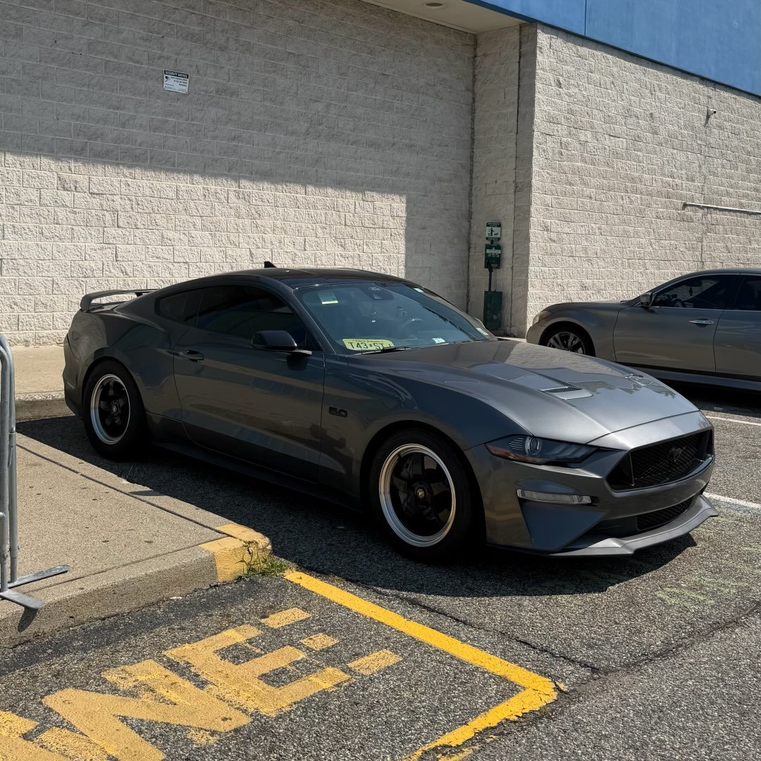 @twanwhips profile picture